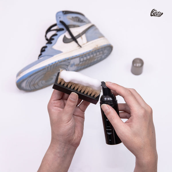 Foam Shoe Care Kit