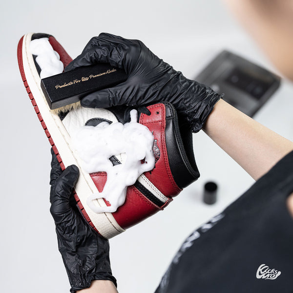 Premium Shoe Care Kit