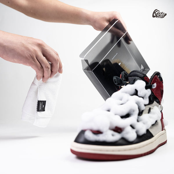 Premium Shoe Care Kit