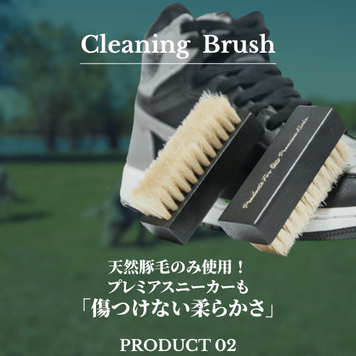 Professional Shoe Care Kit