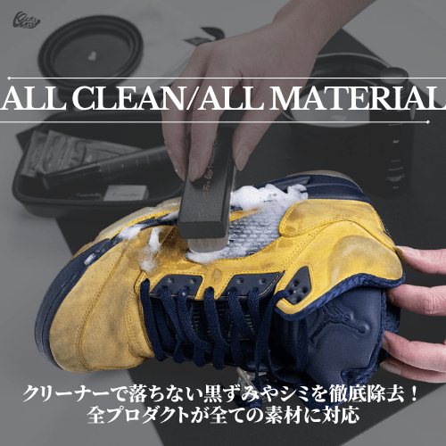 Professional Shoe Care Kit