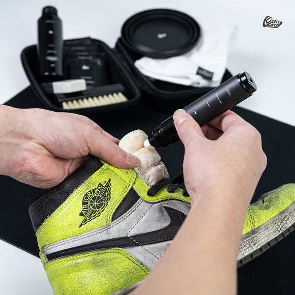 Professional Shoe Care Kit